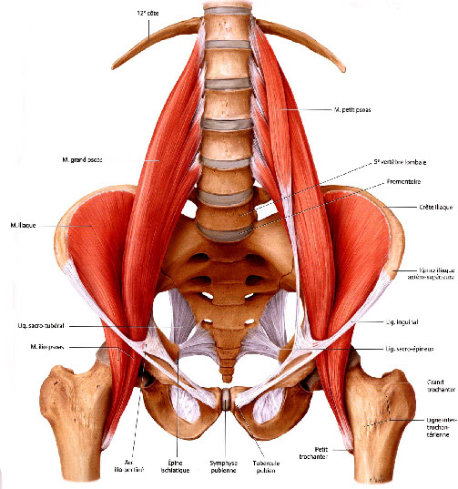 comment soulager inflammation psoas