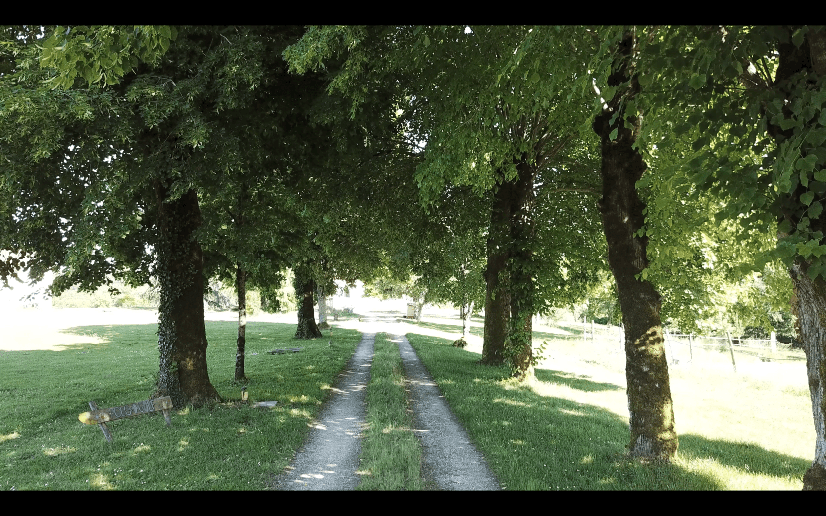 Allée du domaine